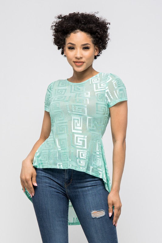 Mesh Short Sleeve Hi-Low Top (See Thru)
