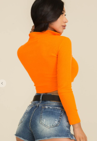 Orange Crop Top